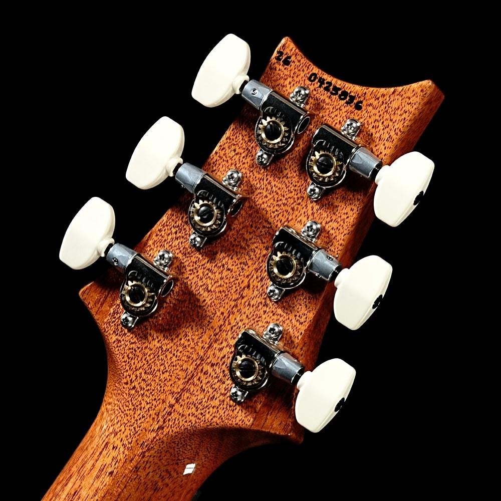 Paul Reed Smith(PRS) 2026 Custom 24 Custom Color #GG80x