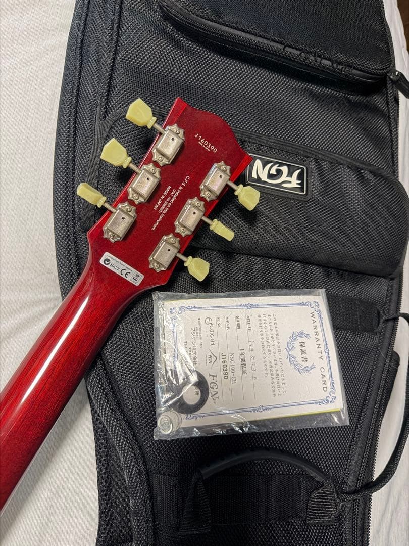 Model Model FGN Fujigen SG type NGS100 Safe packing!