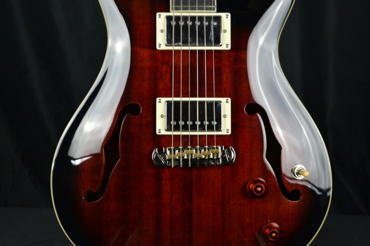 PRS SE HOLLOWBODY STANDARD, FIRE RED BURST, Int’l Buyers Welcome