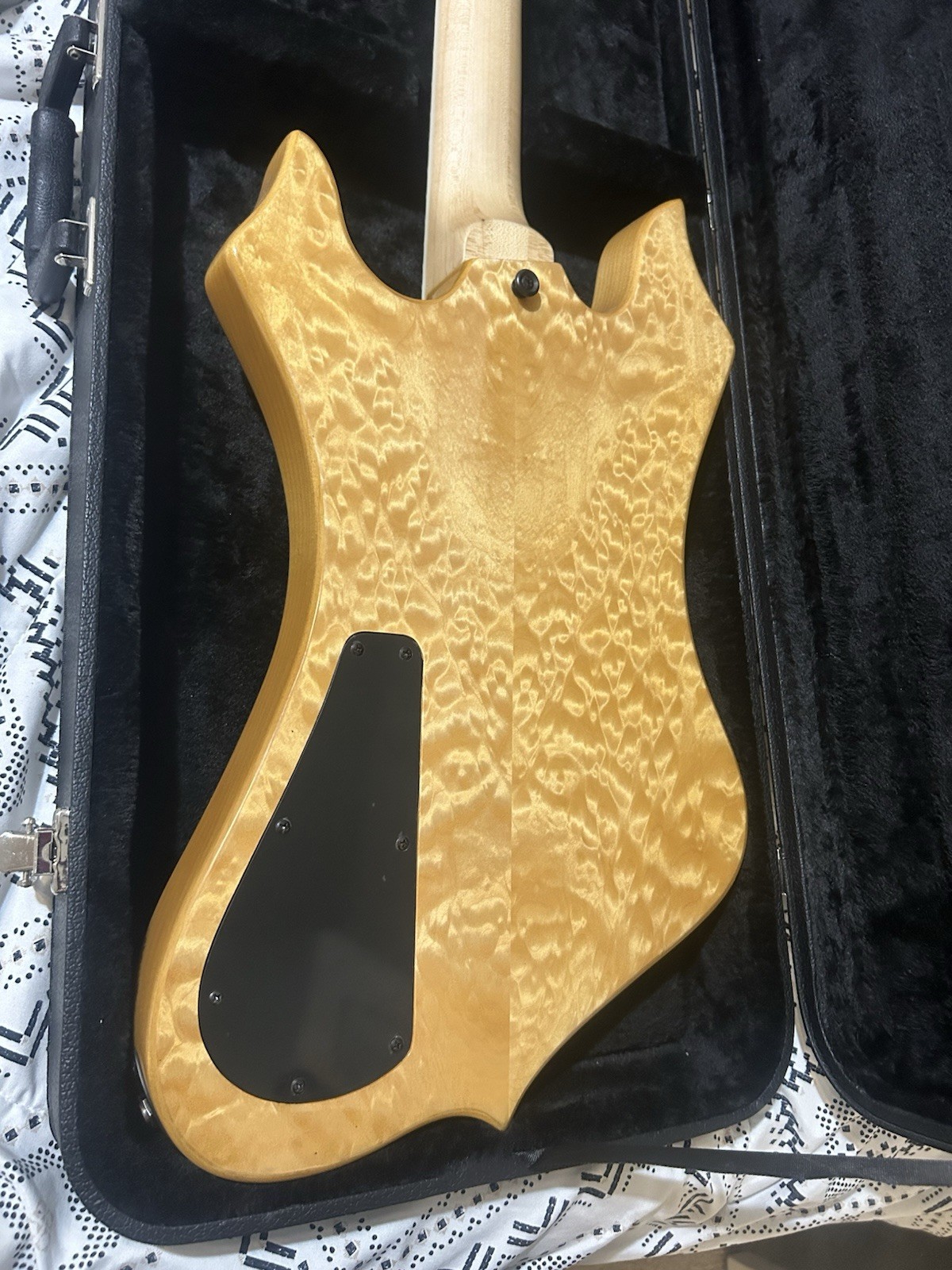 Zak Wylde Audio Nomad Norse Dragon Electric Guitar Hard Case EMG Natural