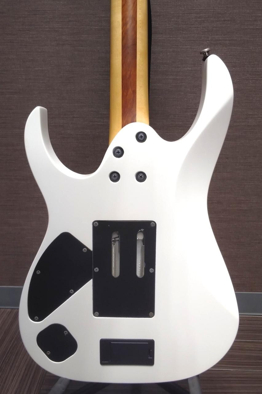 Ibanez RGIR20E Iron Label White Electric Guitar EMG Edge Zero II Preowned Japan