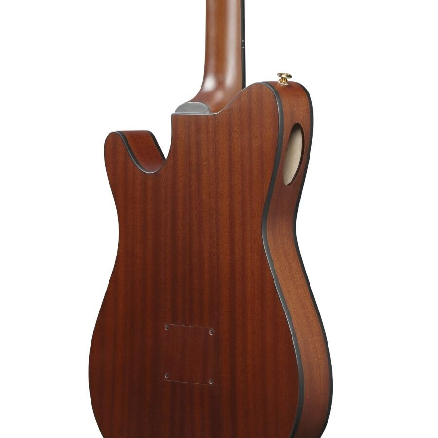 Ibanez FRH10N-BSF Nylon Electric Guitar Brown Sunburst Flat FR Hollow Body