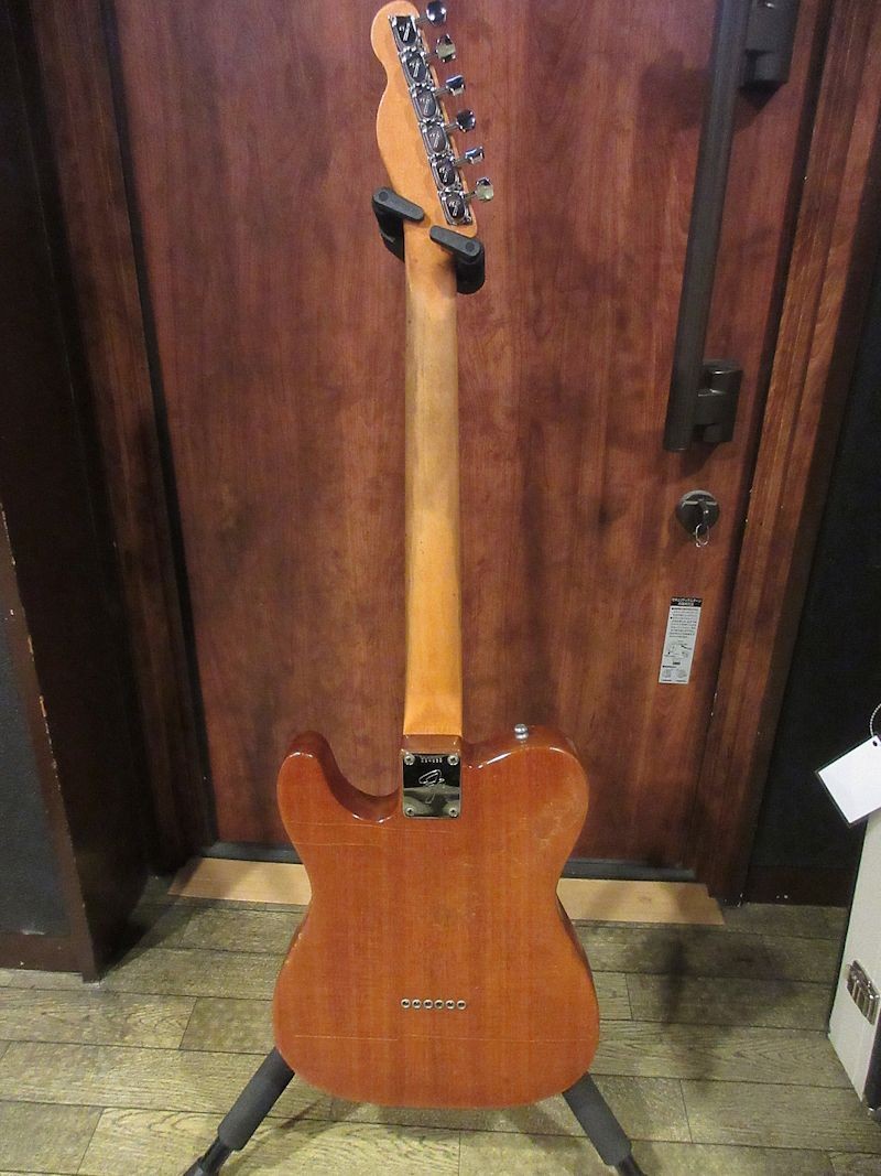 Fender 1968 Telecaster Thinline mahogany Body Laminated Maple Fingerboard Used
