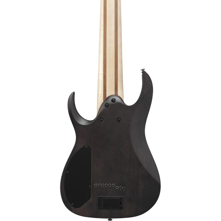 Ibanez RG9PB-TGF Axe Design Lab Transparent Gray Flat 9-String Electric Guitar