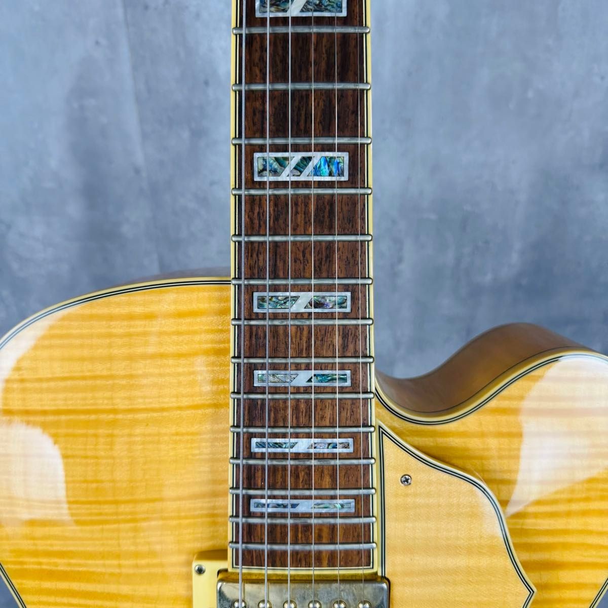Ibanez AF105-NT-12-01 Hard Case Included
