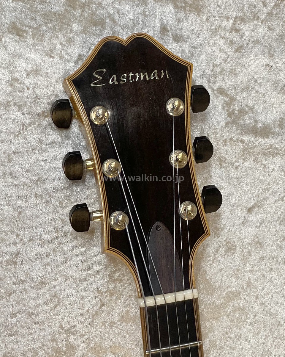 Eastman AR910CE (no260723)