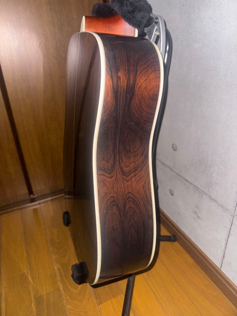 Morris M 601 side back with Jacaranda DiMarzio pickup