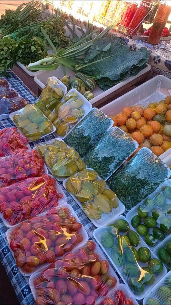 1000503633-575x1024 Hoje Feira da Praça Triângulo completa 11 anos e celebra com programação cultural em Sidrolândia