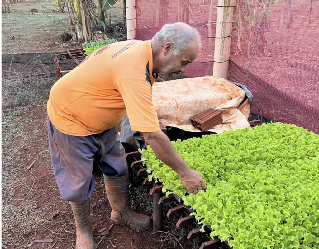 IMG_4976-1024x800 Campo forte: Sidrolândia conquista liderança estadual na comercialização de hortifrutigranjeiros